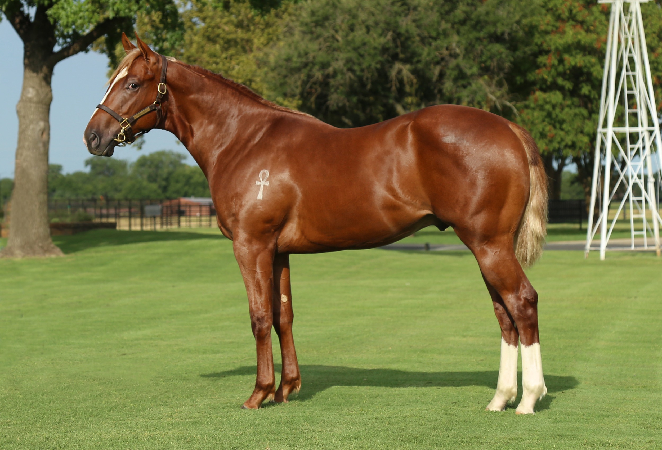 Hip #28: Captain Relentless