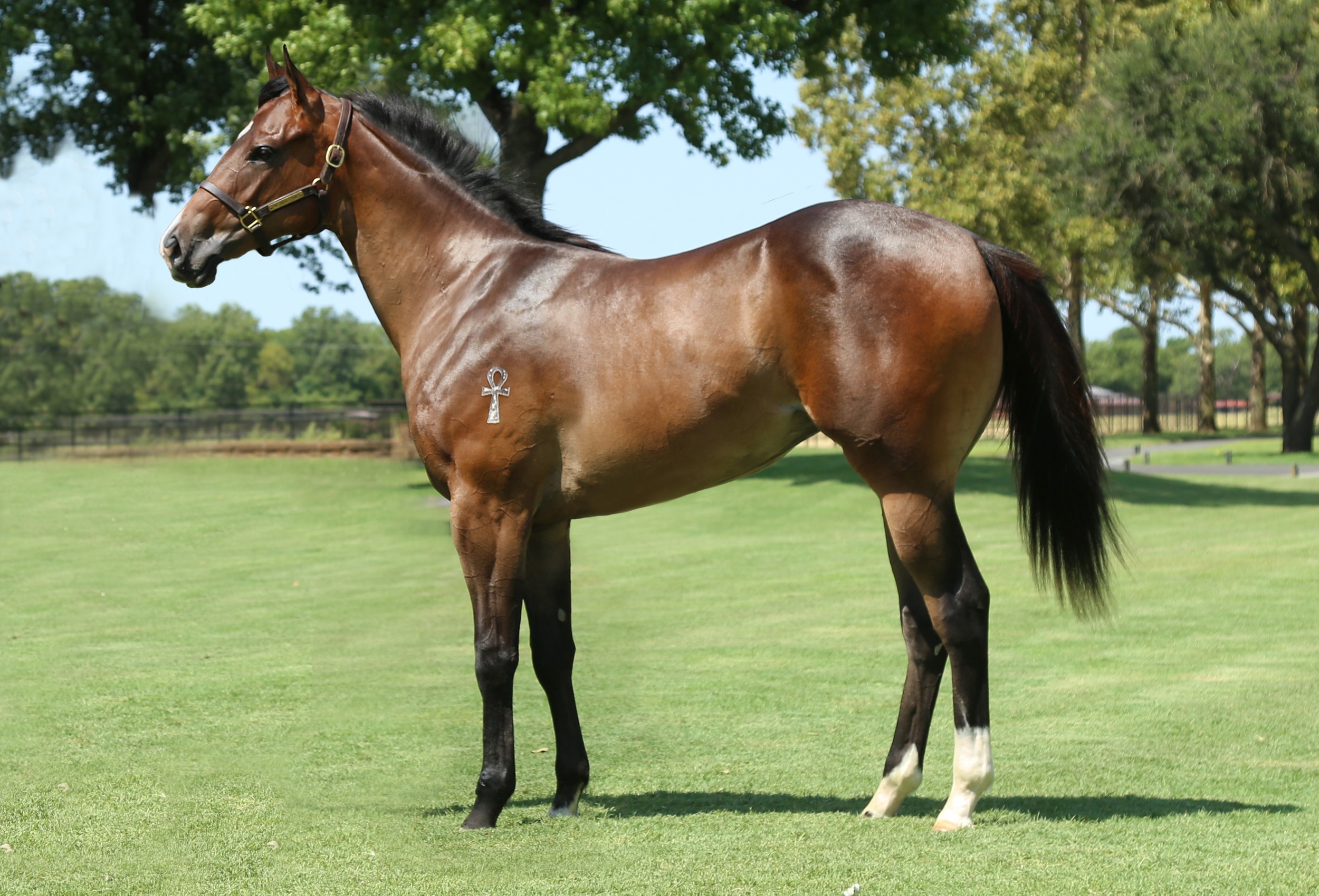 Hip #433: Cyber Policy